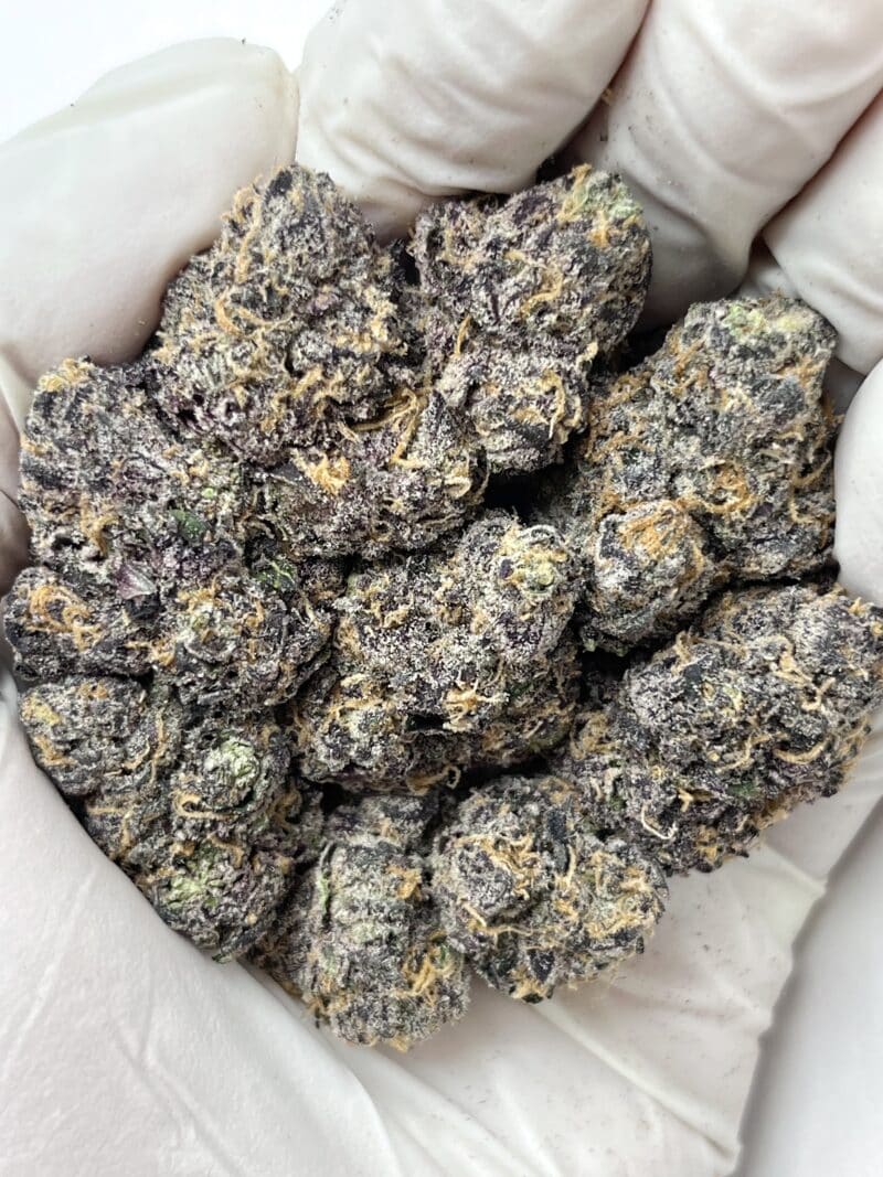 1 Pound THCa Flower - Verasace Big