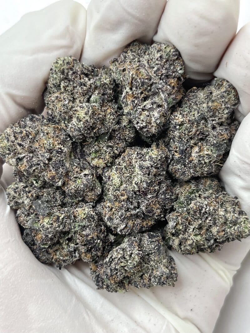 1 Pound THCa Flower - Sugar DONUTS Big