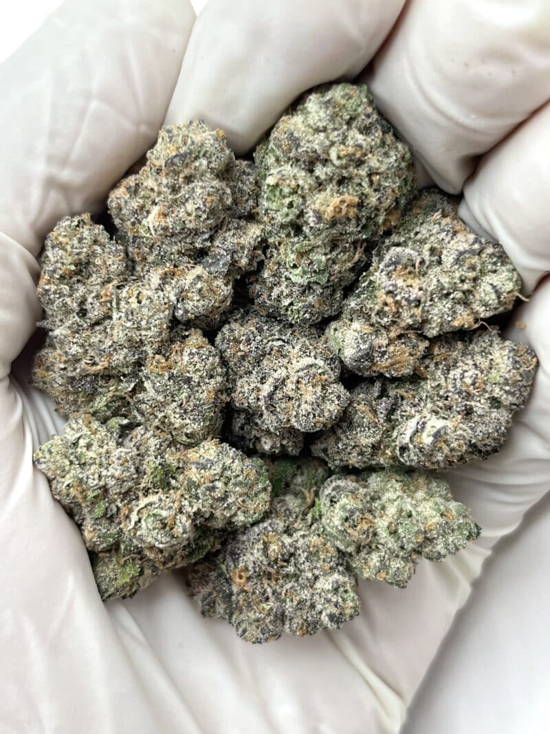 1 Pound THCa Flower - Blue Slushie Big