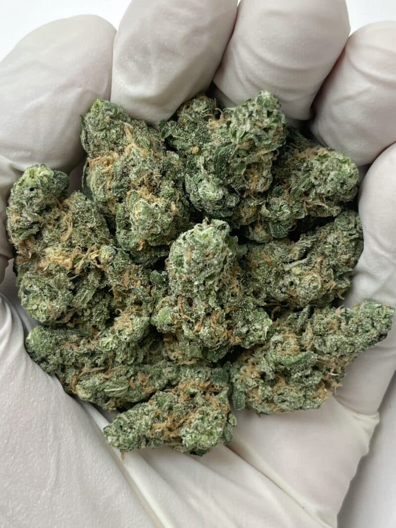 1 Pound THCa Flower - Blue Dream Big