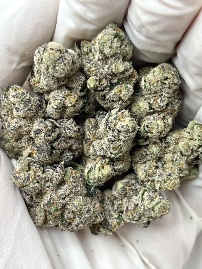 1 Pound THCa Flower - Gas Face Big