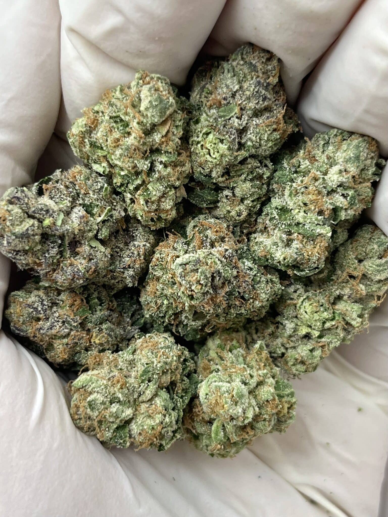 Captain Crunch THCA flower macro photo