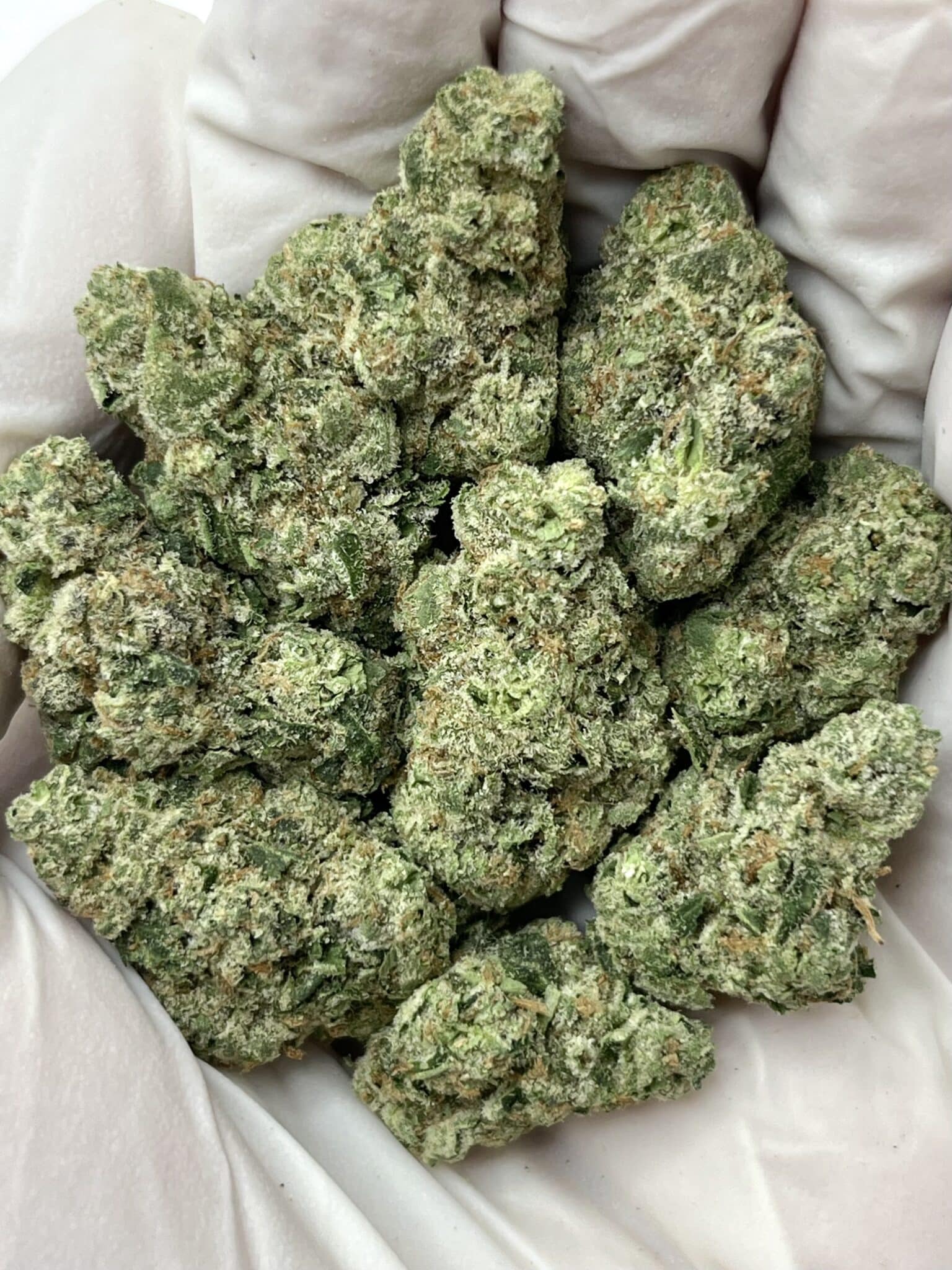 Donny Burger THCA flower buds