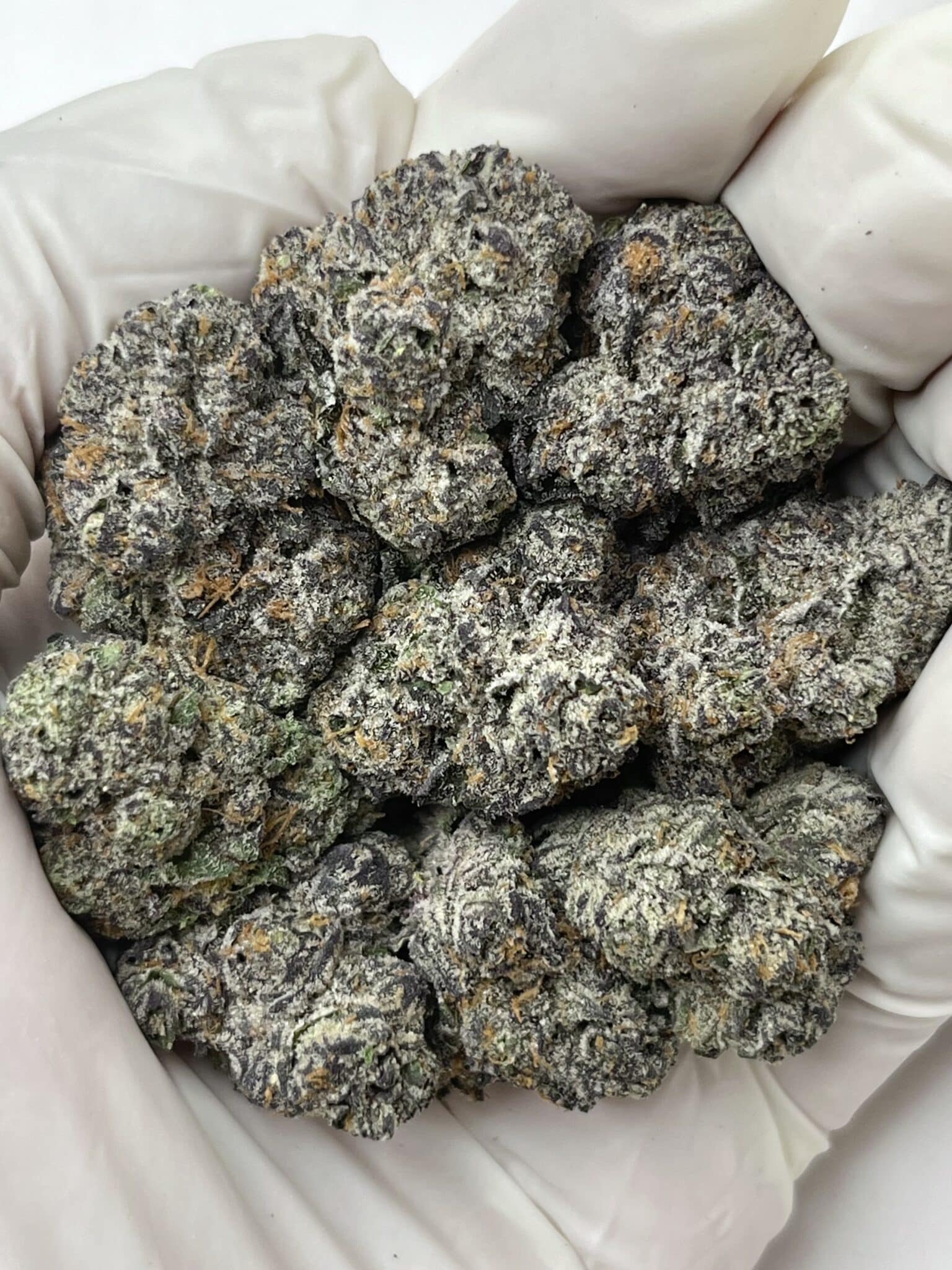 Cookies & Cream THCA flower macro photo