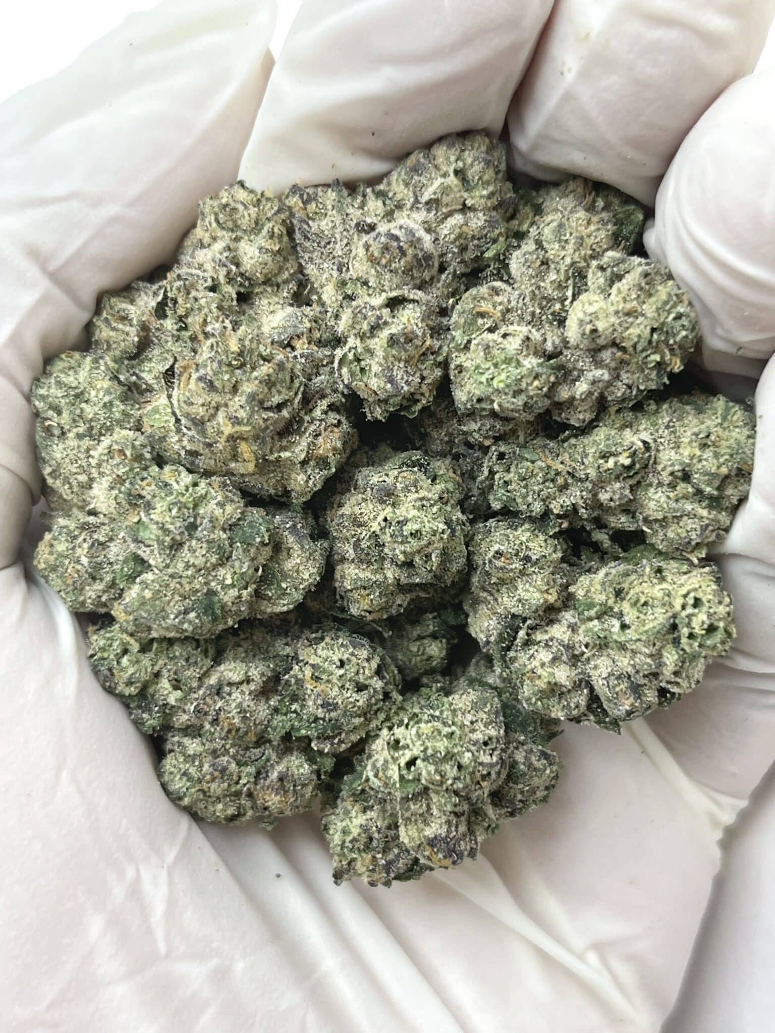 MOB THCA flower macro photo