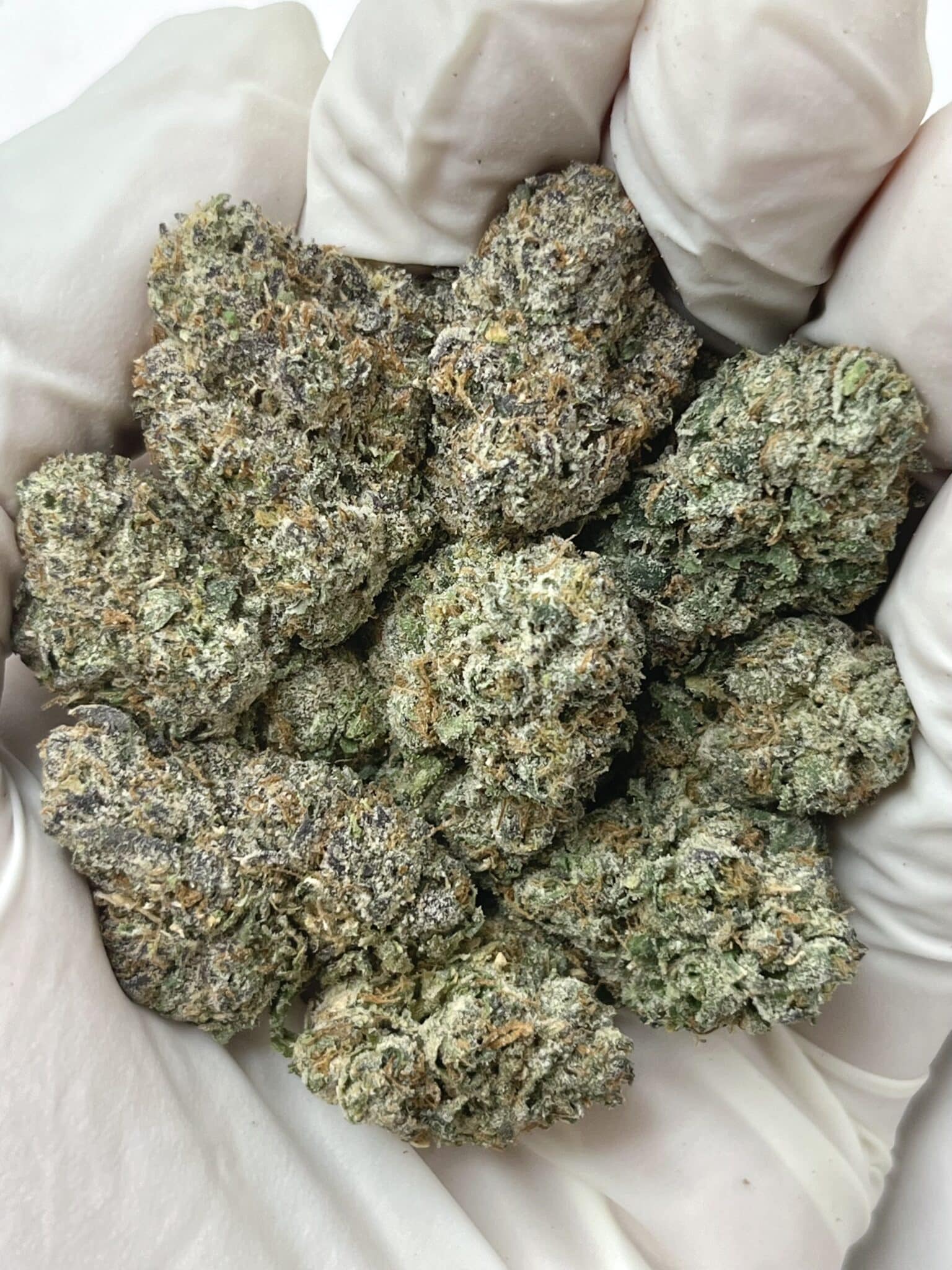 Jetlato THCA flower buds