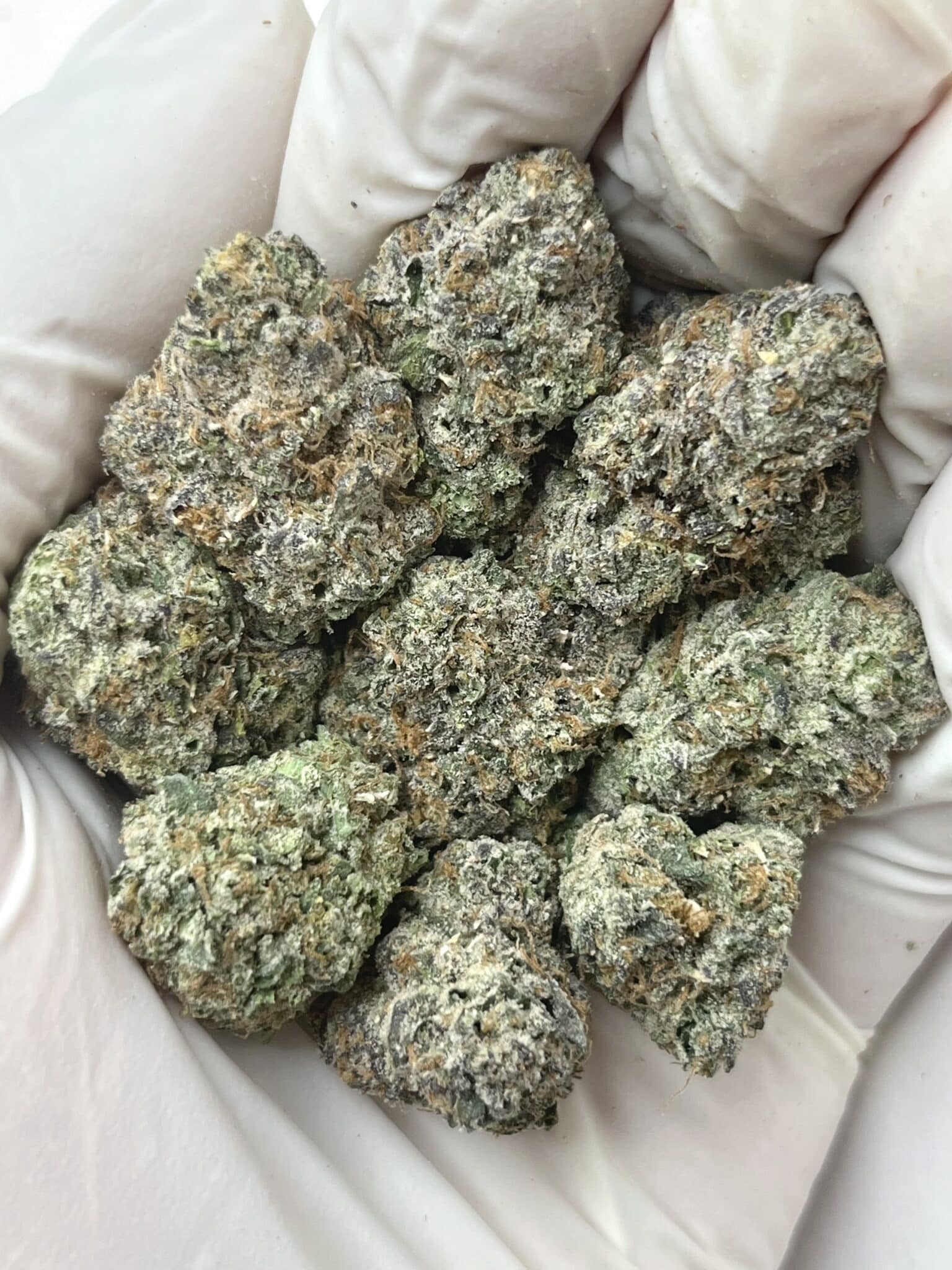 Z Runtz THCA flower buds