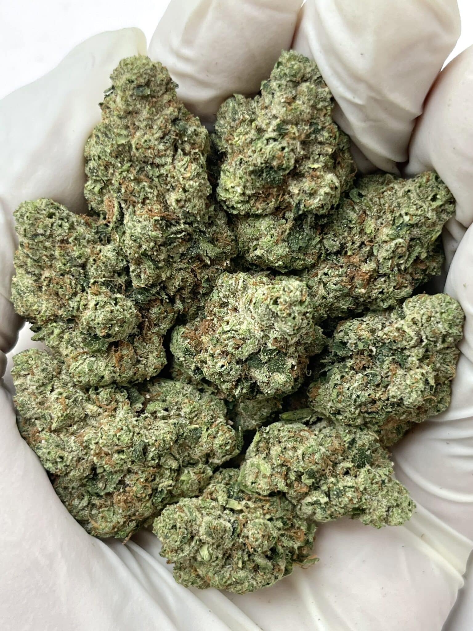 SFV OG THCA flower macro photo
