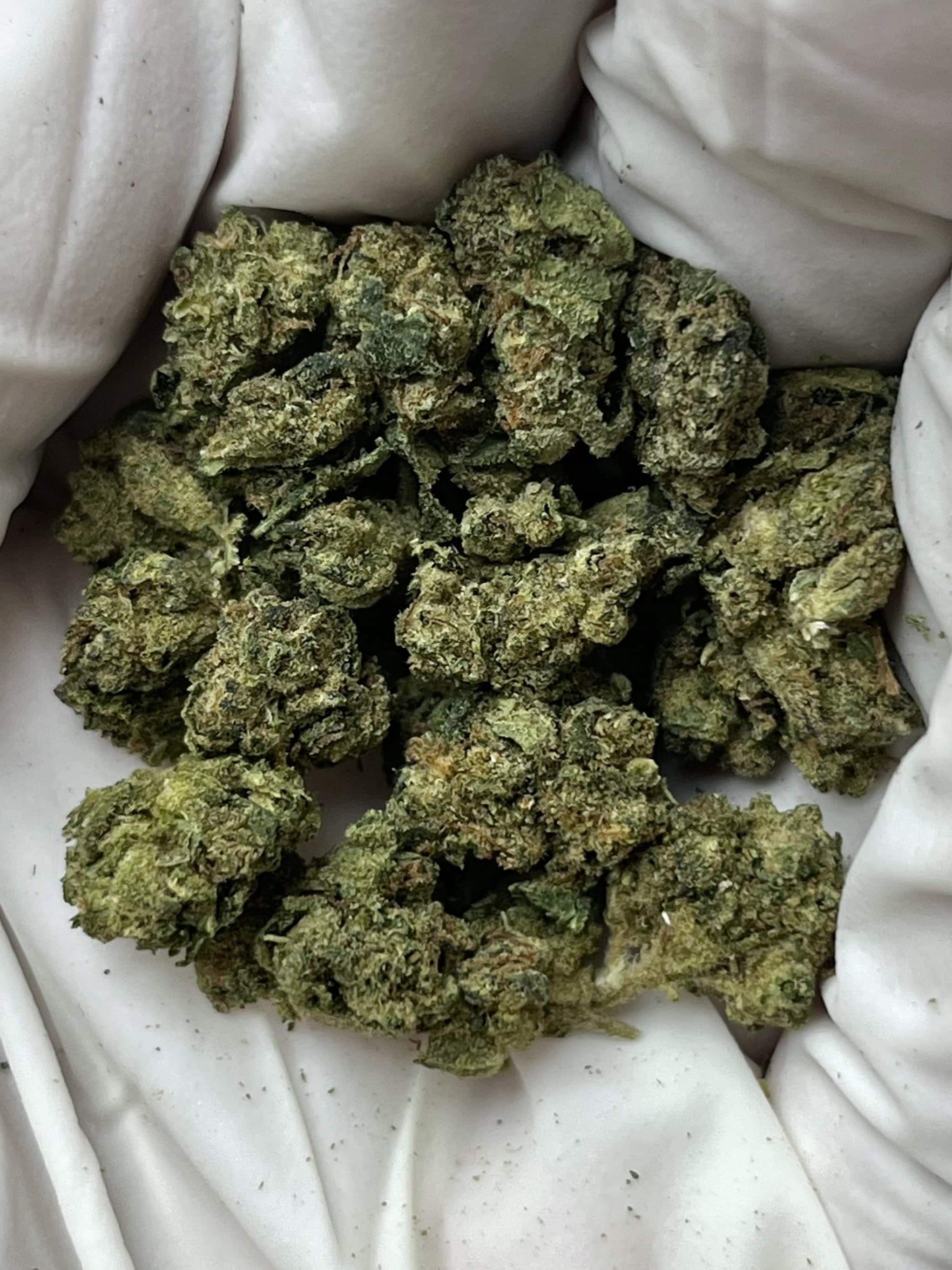 Mixed Smalls THCA flower buds