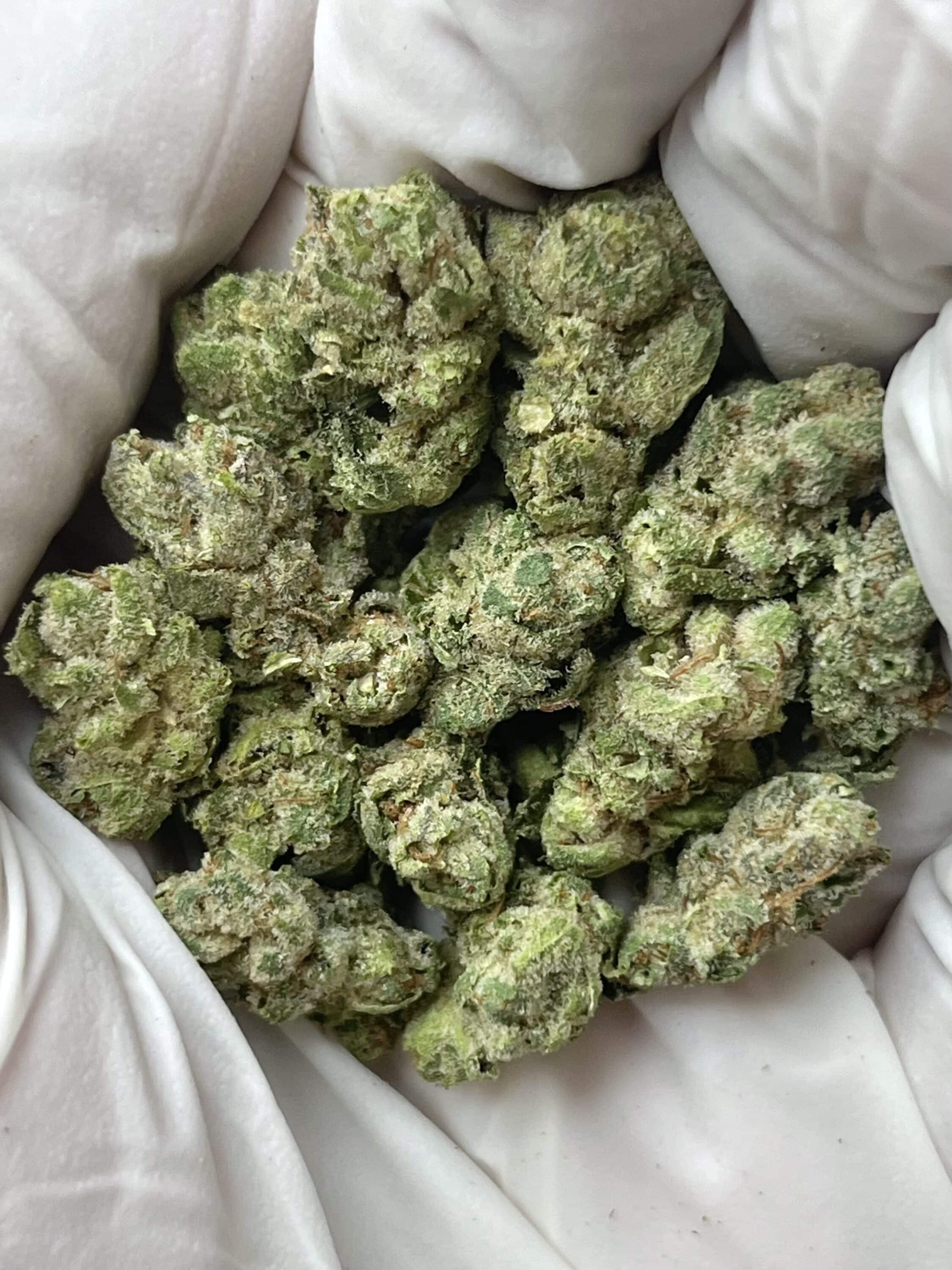 Original Glue Smalls THCA flower buds