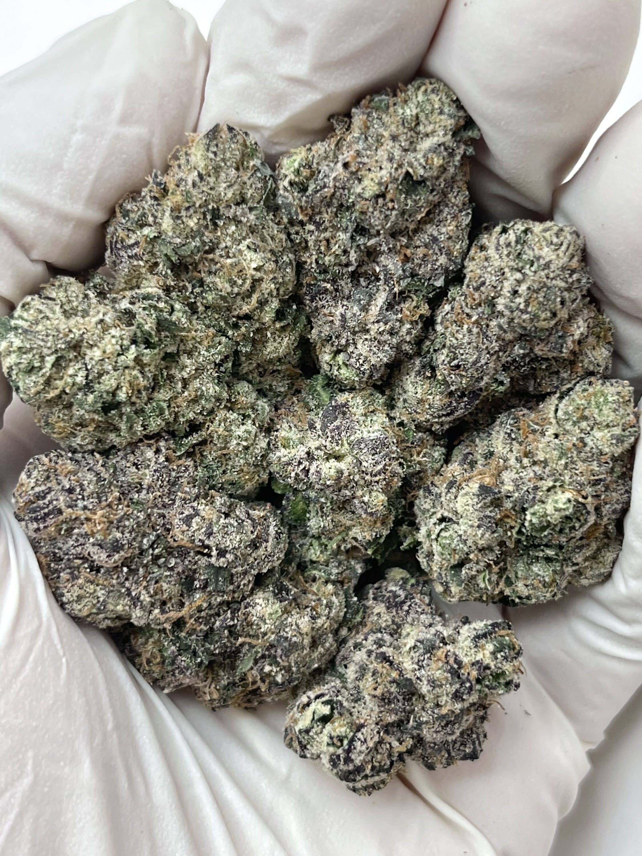 LCB THCA flower buds