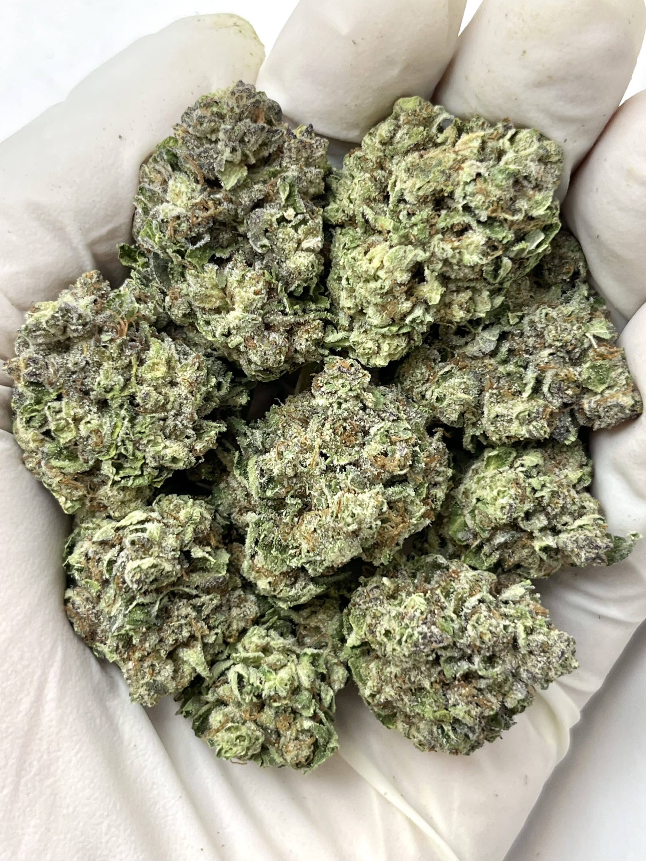 Strawberry Biscotti THCA flower buds