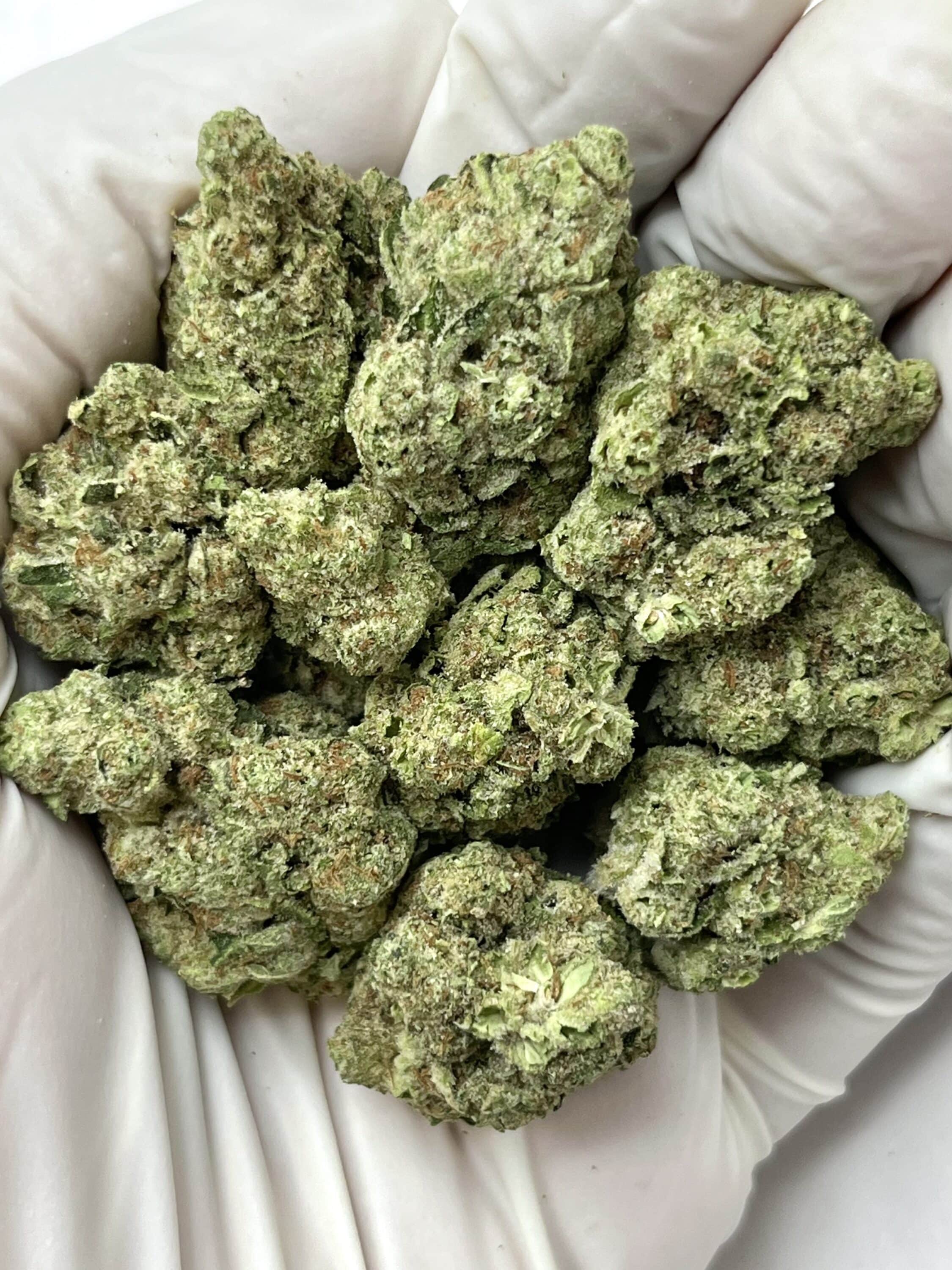 Grapes N Cream THCA flower buds