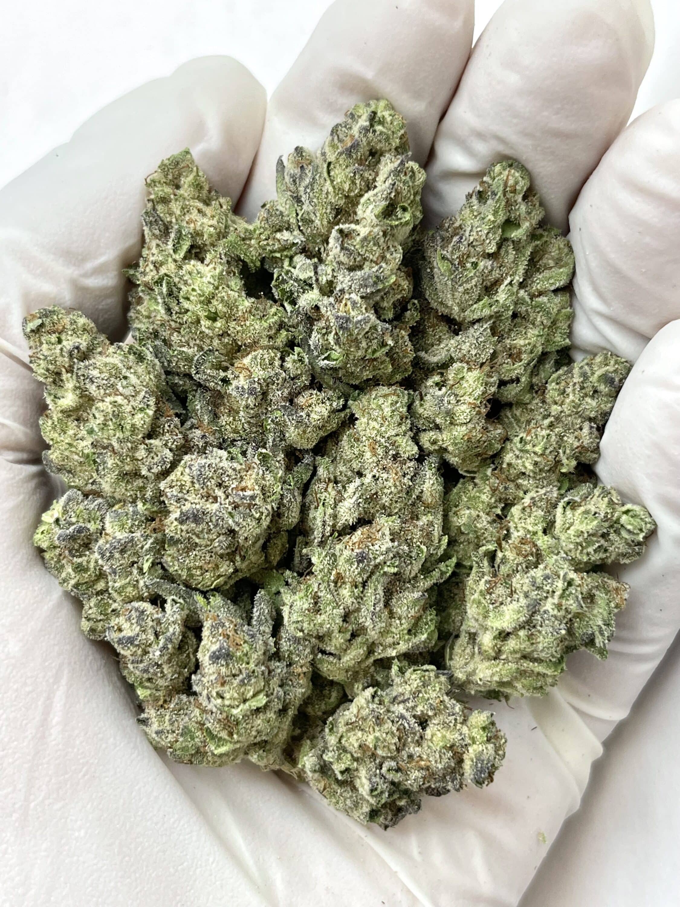 Papaya Bomb THCA flower buds