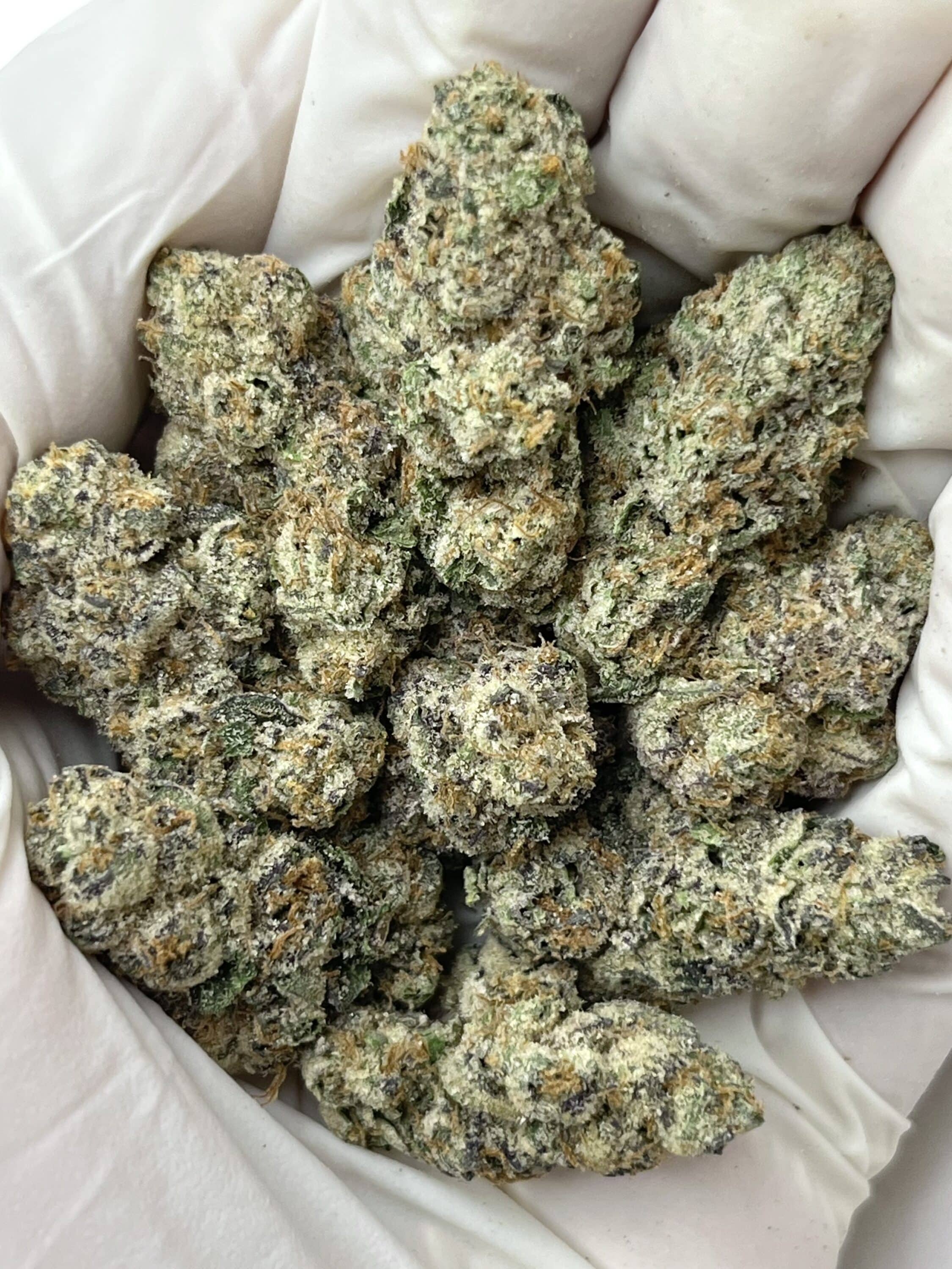 Rainbow Sherb THCA flower buds