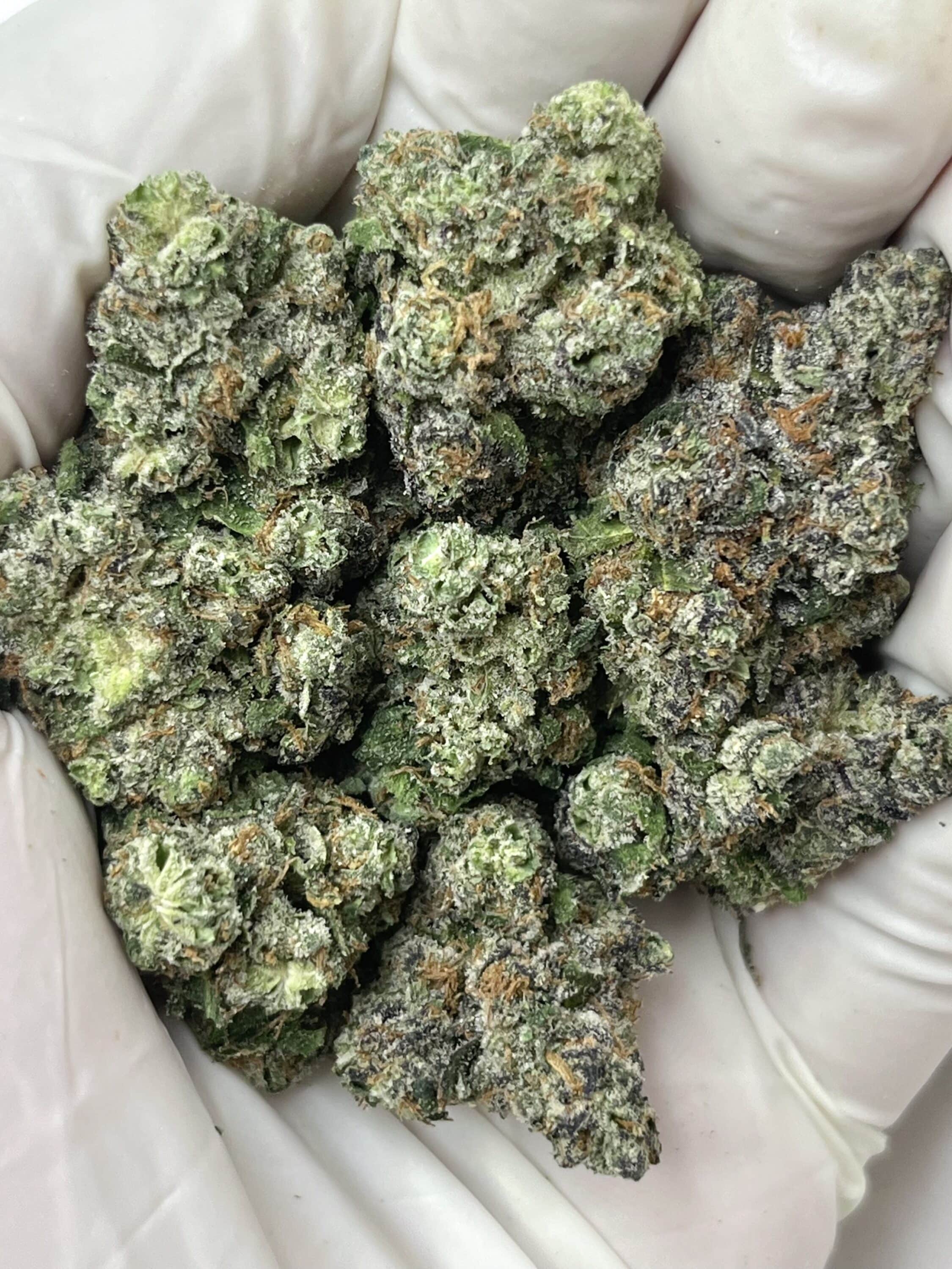 Candy Cartel THCA flower buds