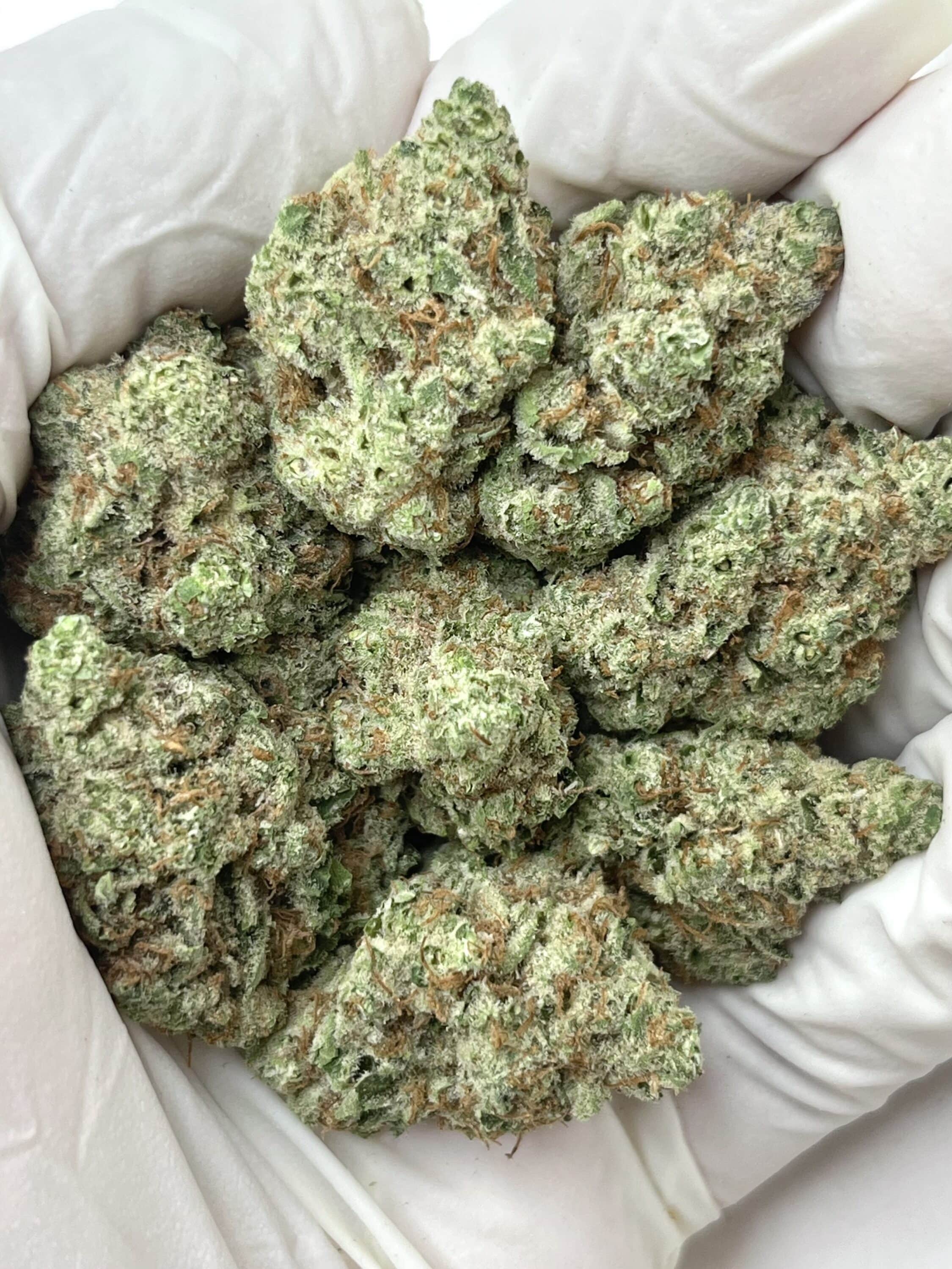 Future Ex THCA flower buds