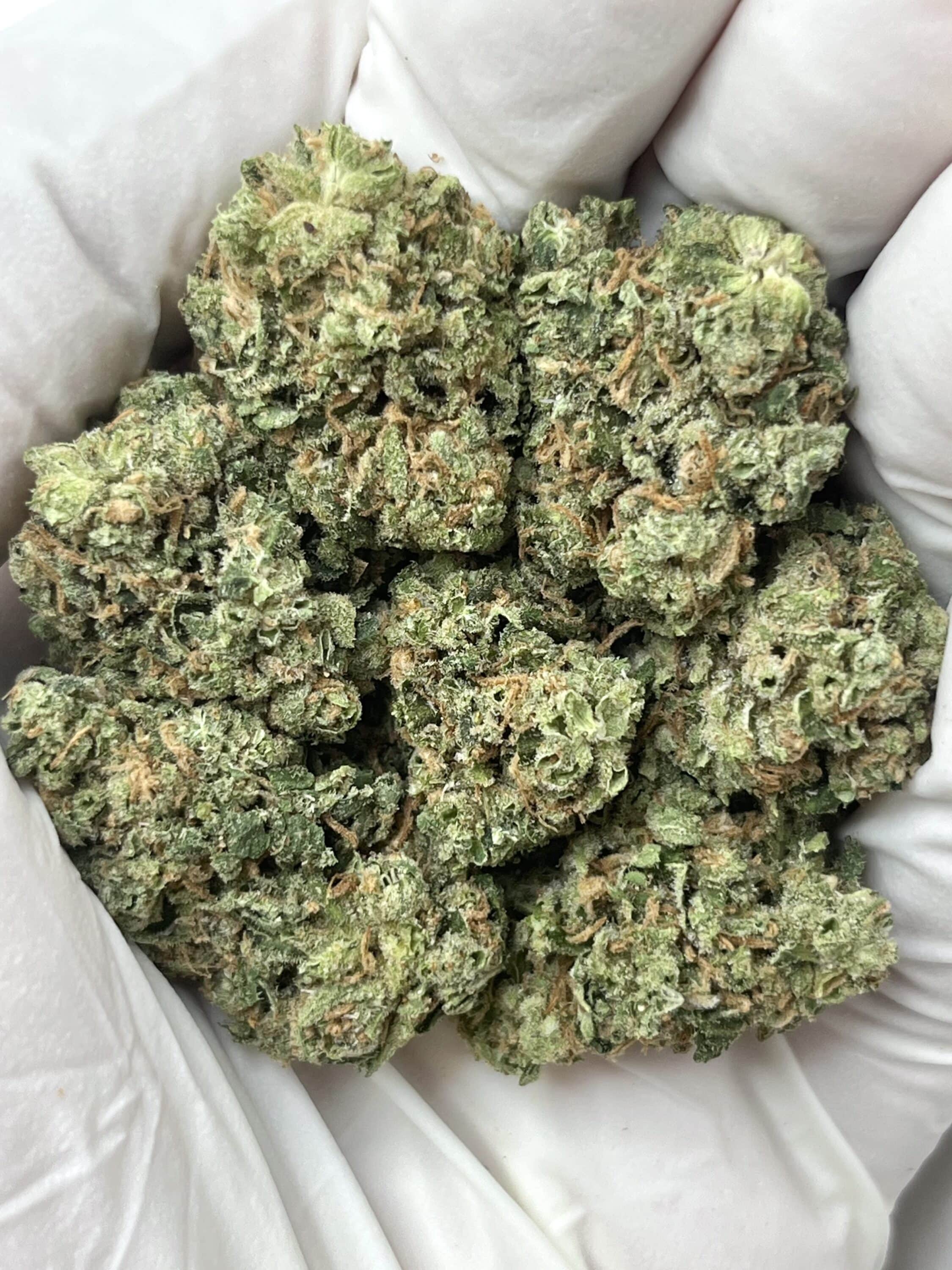 Sour D THCA flower buds