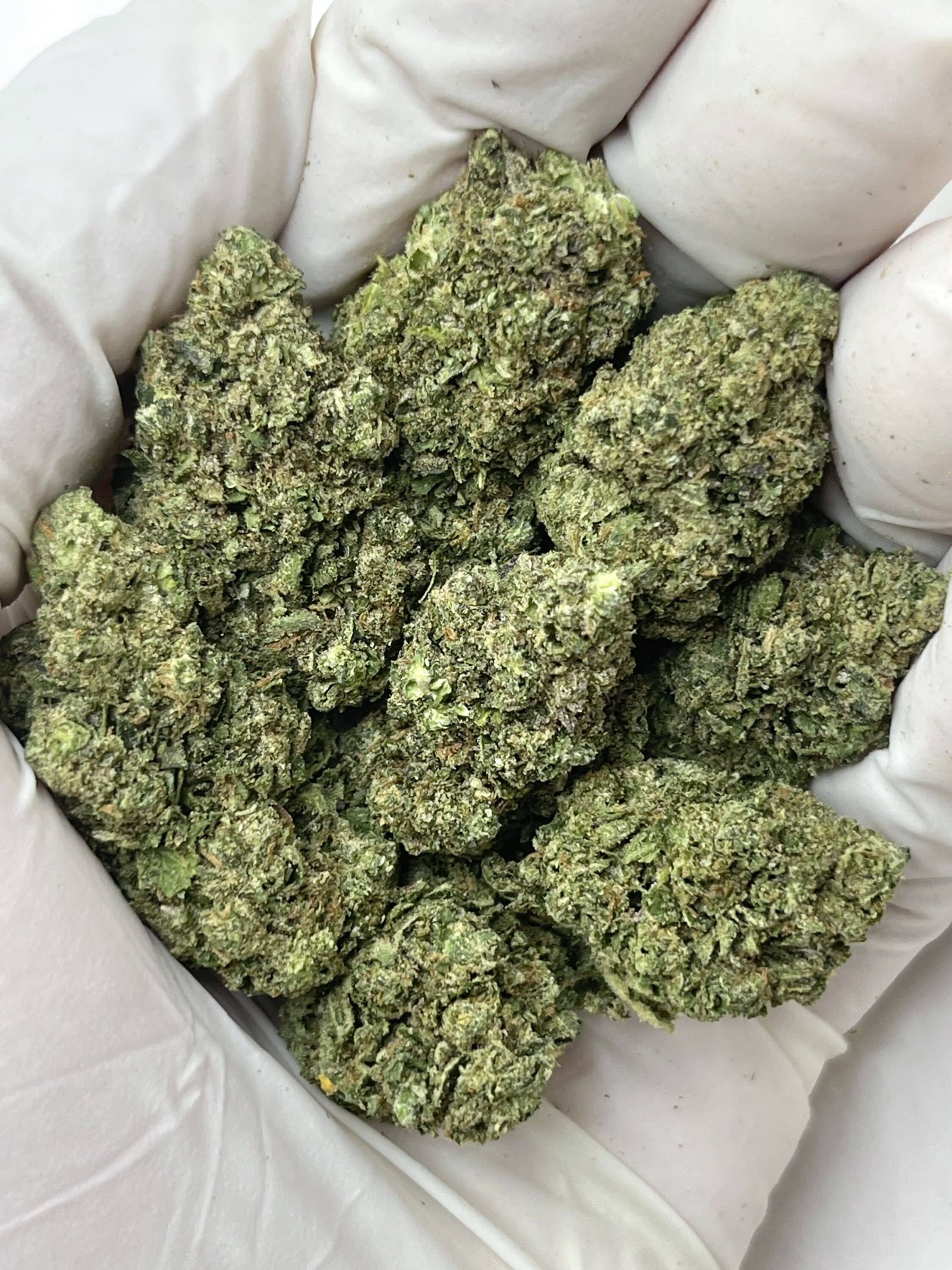 Sour THCA flower buds