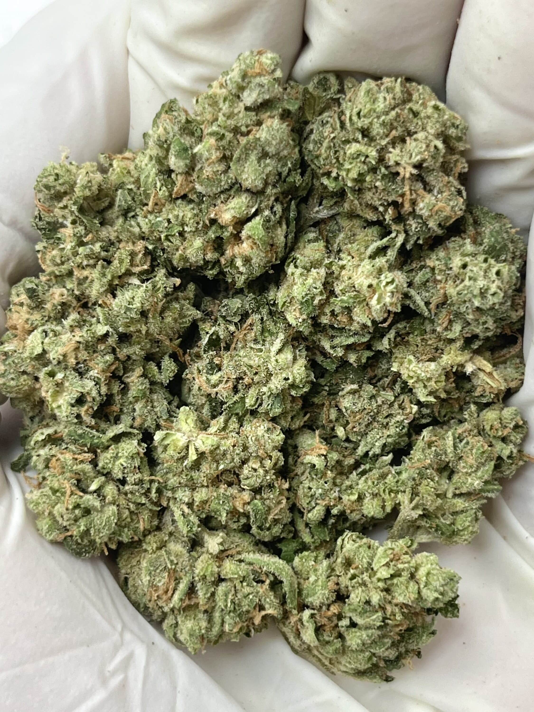 Sour D Smalls THCA flower buds