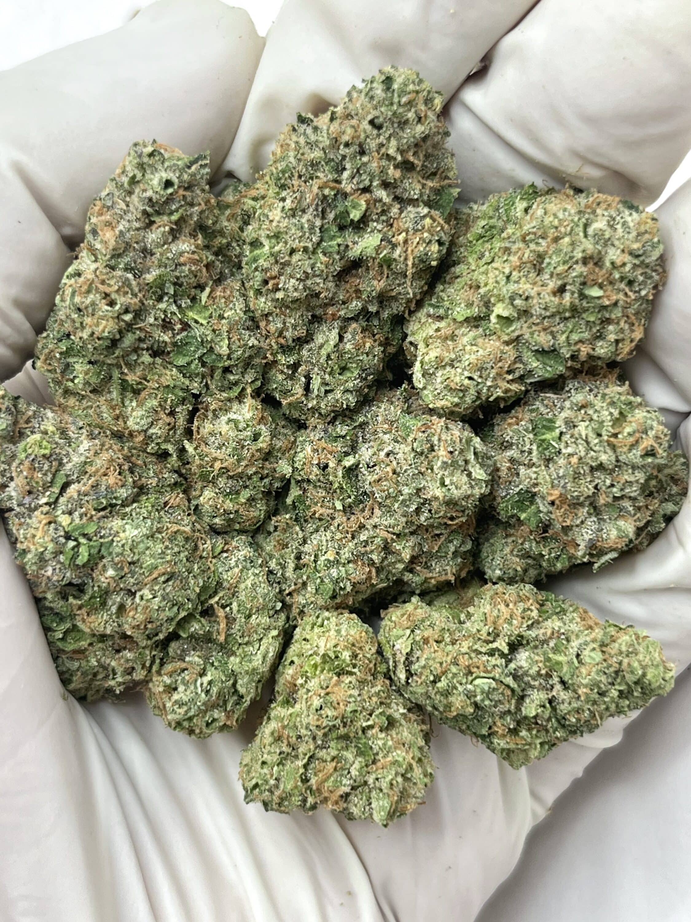 Candy Fumez THCA flower buds