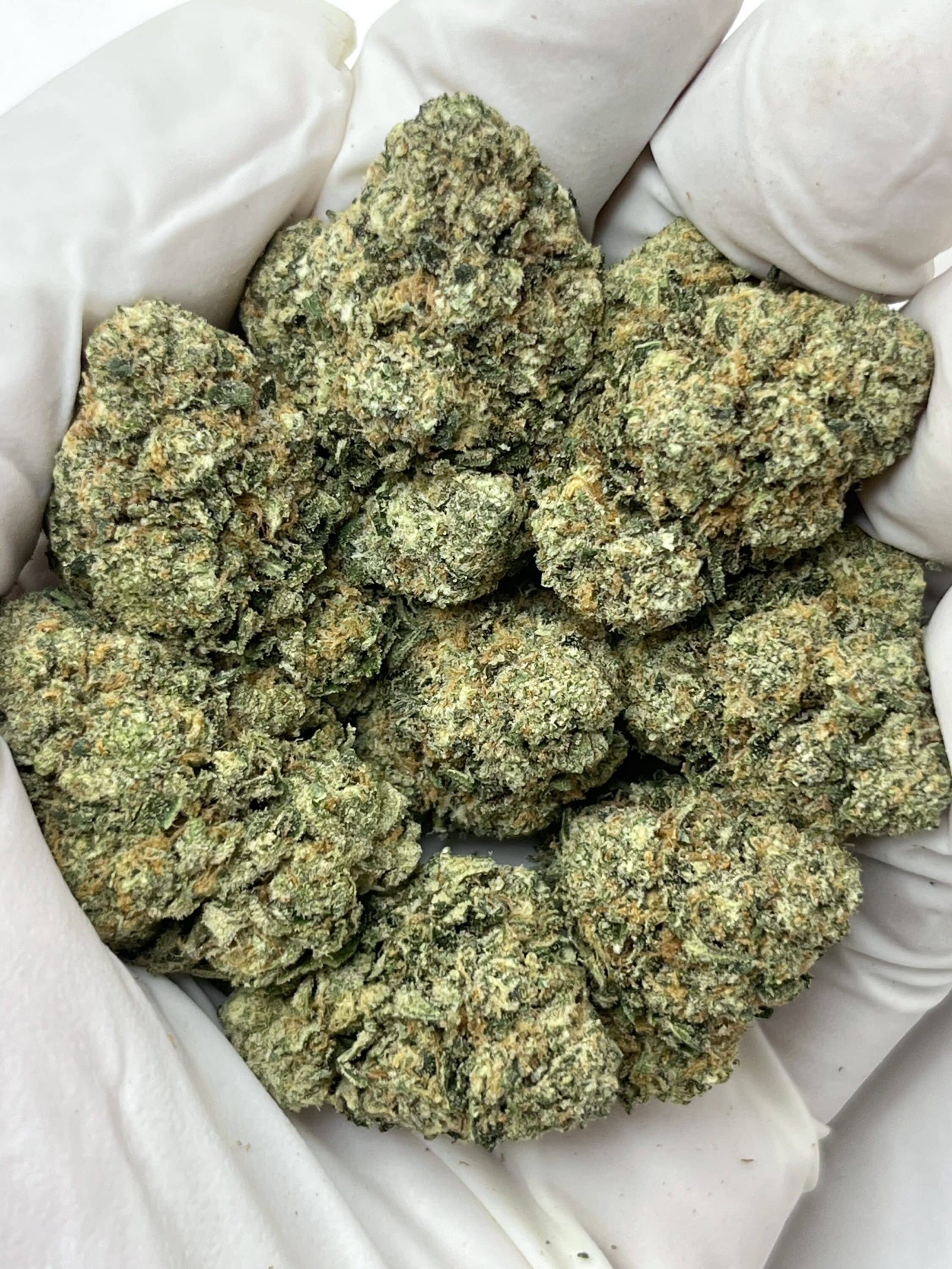 Lemon Cherry THCA flower buds