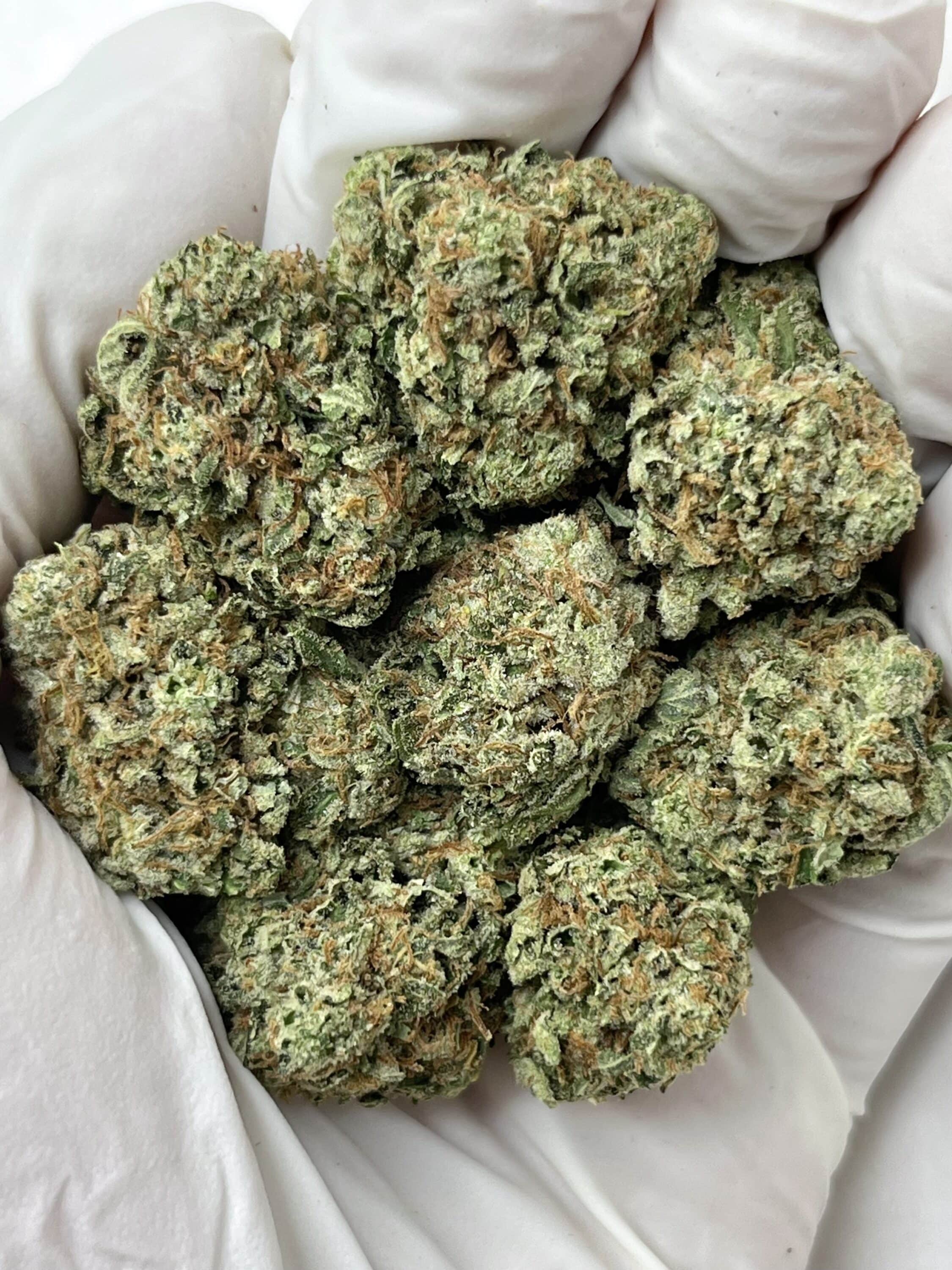 NYC Diesel THCA flower buds