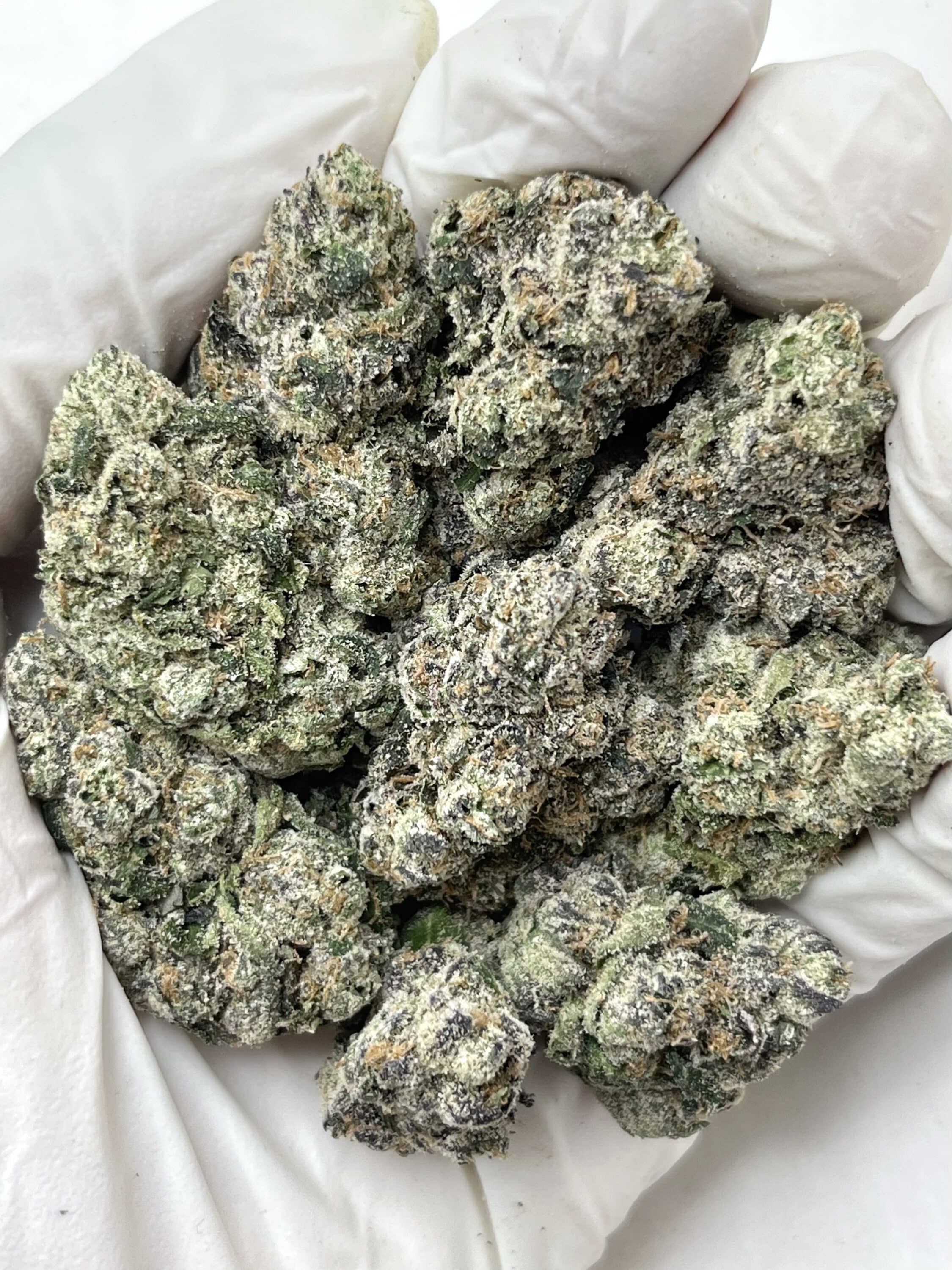Hood Candy THCA flower buds