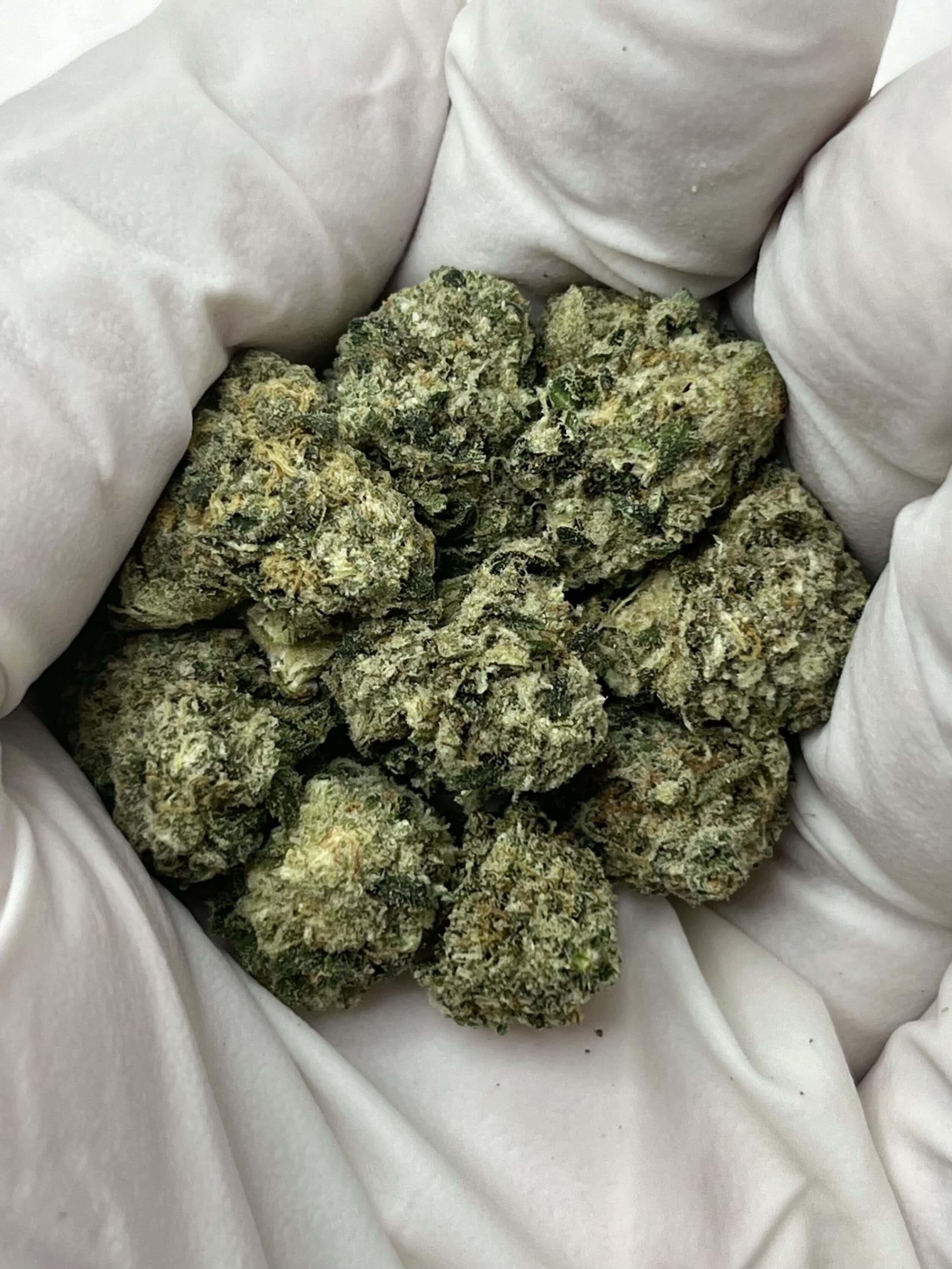 Lemon Cherry Smalls THCA flower buds