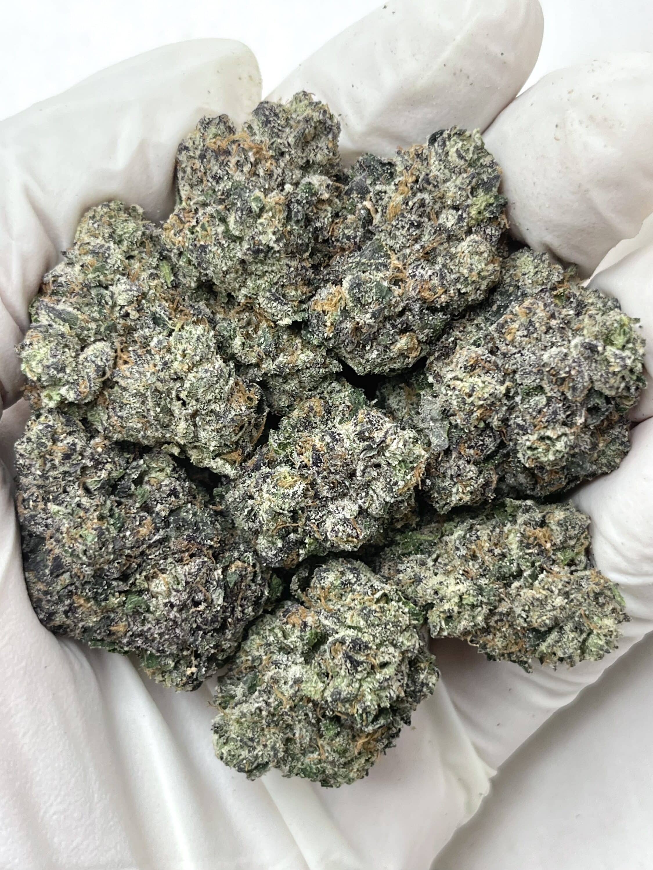 Gumdropz THCA flower buds