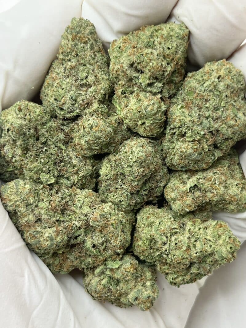 1 Pound THCa Flower - Biscotti Cream Big