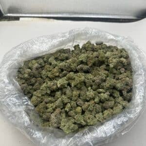 1789687806011_IMG_6535.jpeg