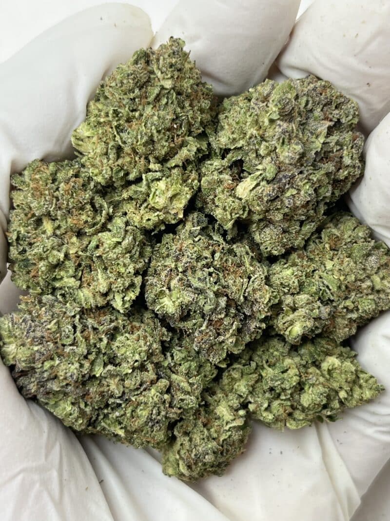 1 Pound THCa Flower - Modified Sunset Big
