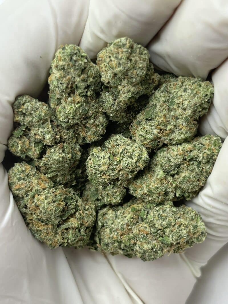1 Pound THCa Flower - Candy Mob Big